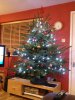 Tree 2012.jpg