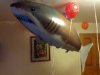 IMG_20130101_003611.jpg