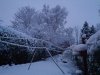 Snow 21-01-13 (1).jpg