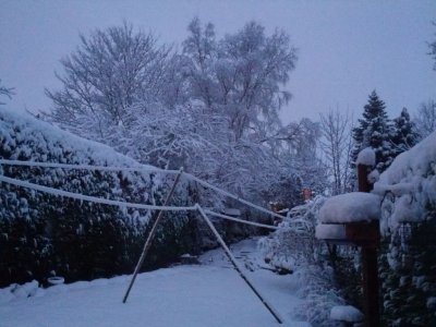 Snow 21-01-13 (1).jpg