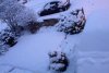 Snow 21-01-13 (2).jpg