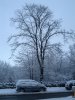 Snow 21-01-13 (3).jpg