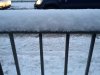 Snow 21-01-13 (4).jpg