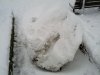 Snow 21-01-13 (5).jpg