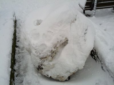Snow 21-01-13 (5).jpg