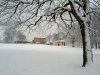 Snow 21-01-13 (6).jpg