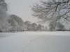 Snow 21-01-13 (7).jpg
