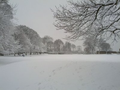 Snow 21-01-13 (7).jpg