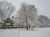 Snow 21-01-13 (8).jpg