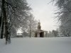 Snow 21-01-13 (9).jpg