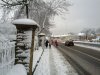 Snow 21-01-13 (10).jpg