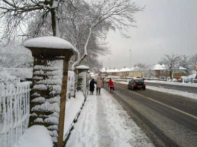 Snow 21-01-13 (10).jpg