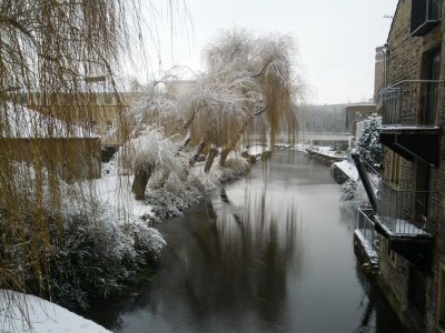Snow 21-01-13 (12).jpg