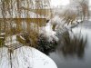 Snow 21-01-13 (13).jpg