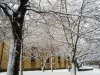 Snow 21-01-13 (15).jpg