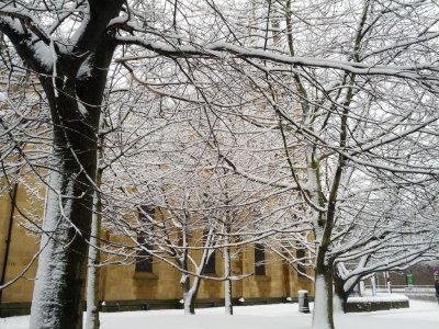 Snow 21-01-13 (15).jpg