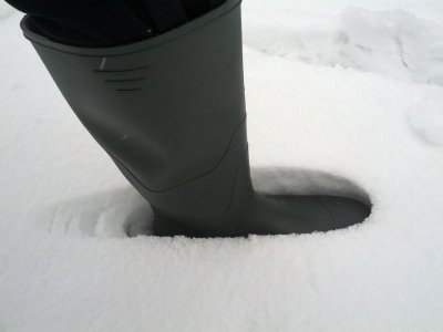 Snow 21-01-13 (19).jpg