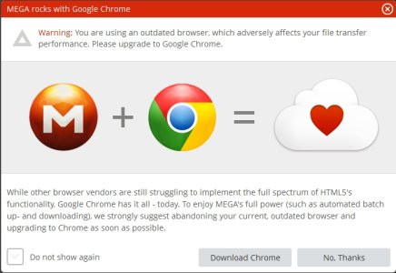 mega and chrome.jpg