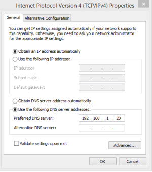 IP Config Custom DNS Windows.PNG