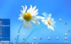 file (2).jpeg