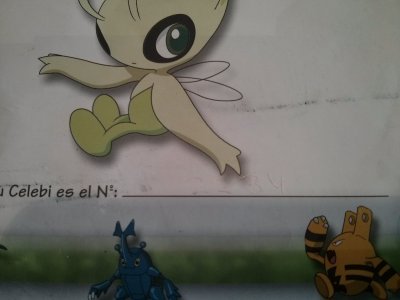 celebi-tour-celebi-4.jpg