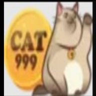 cat999 kim