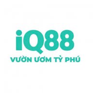iq88city
