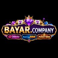 bayarcompany