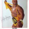 Hulkster