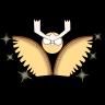 RJRacoon